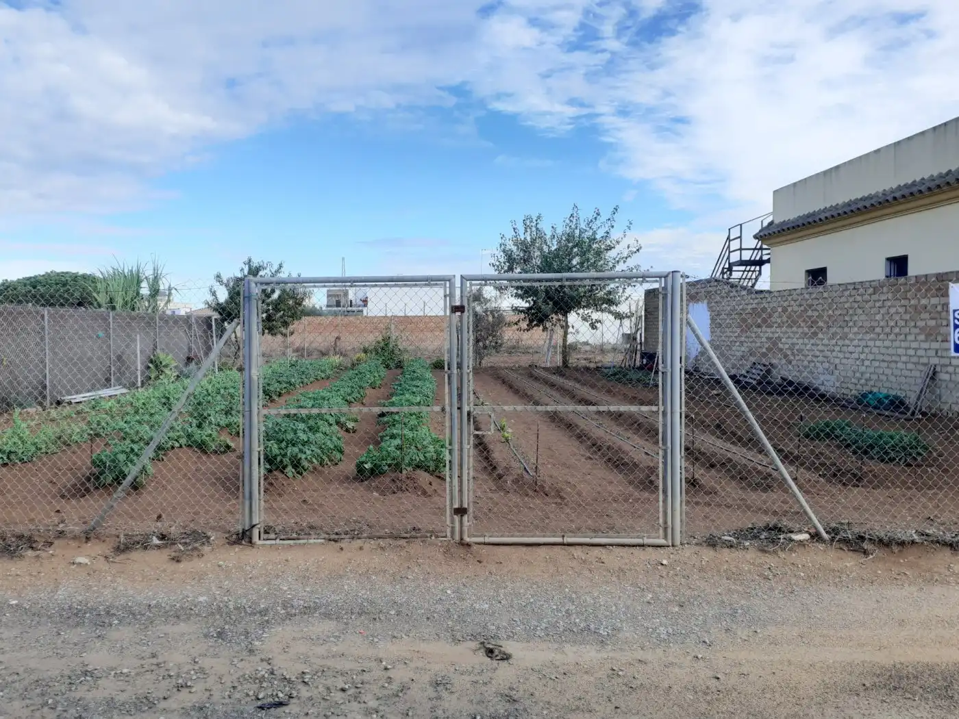Terreno rustico in vendita a La Laguna, imagen 6