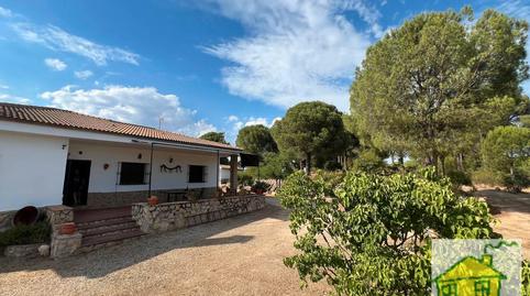 Photo 3 of Land for sale in Poblado del Santuario Virgen de la Cabeza, 42, Andújar, Jaén