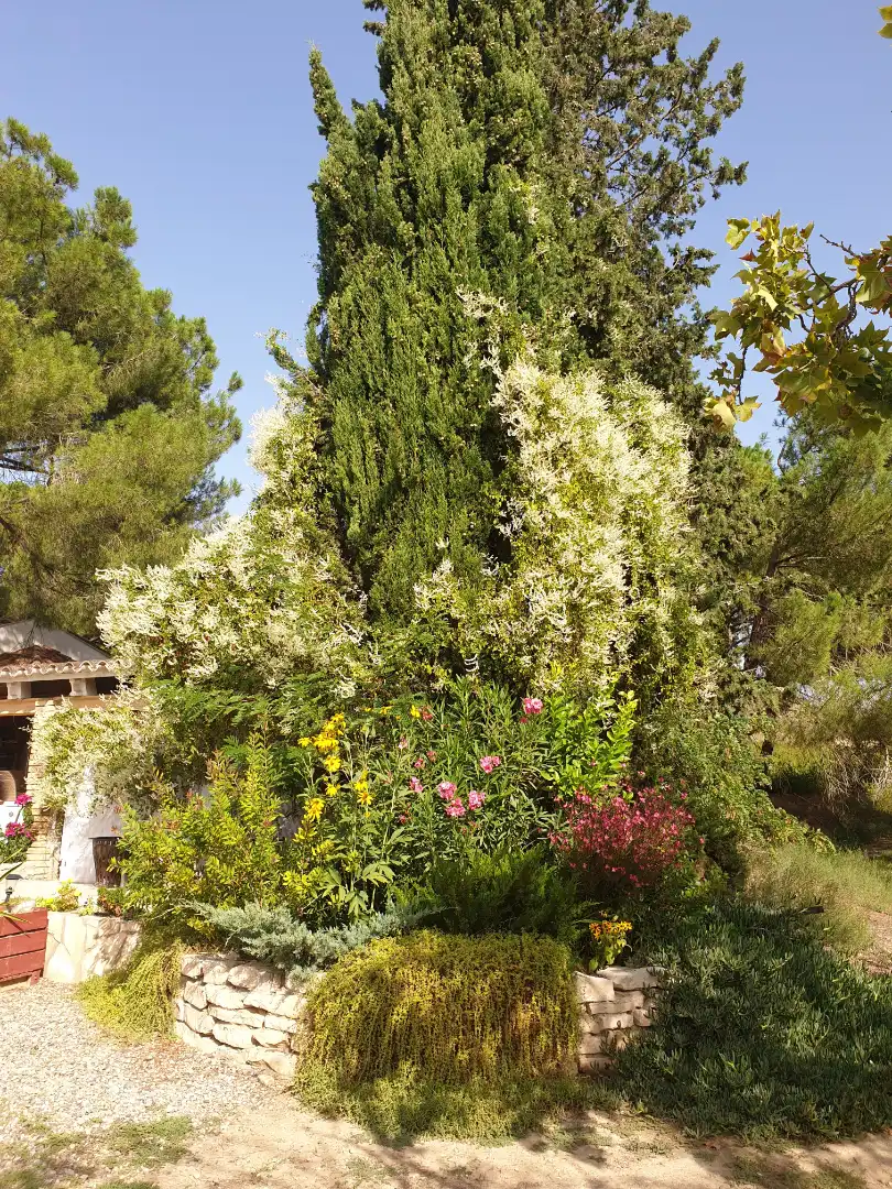 Terreni e lotti in vendita a Fraga, imagen 44