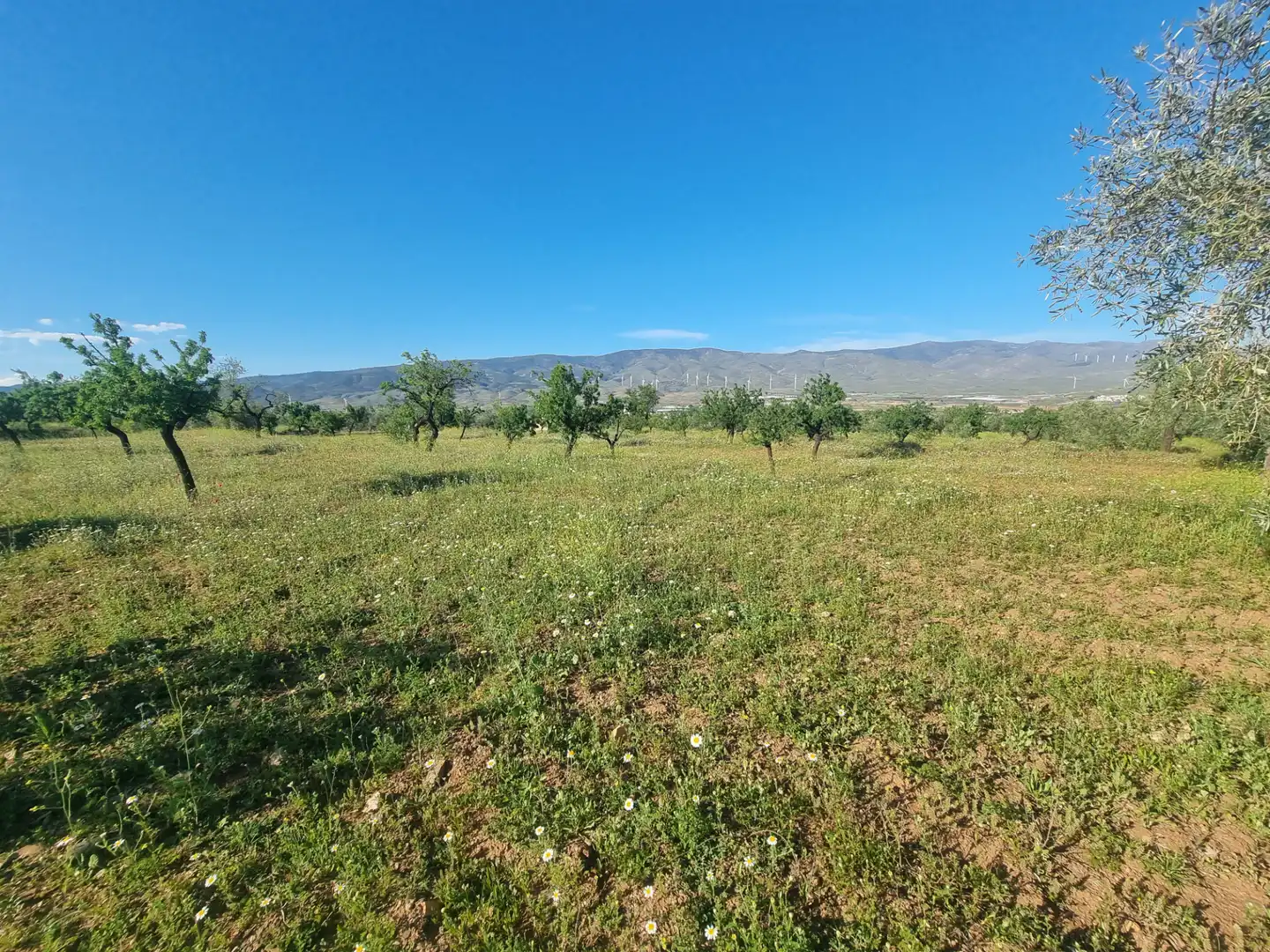 Terreno en venta en Abrucena