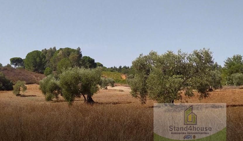 Residential for sale in Villarrasa