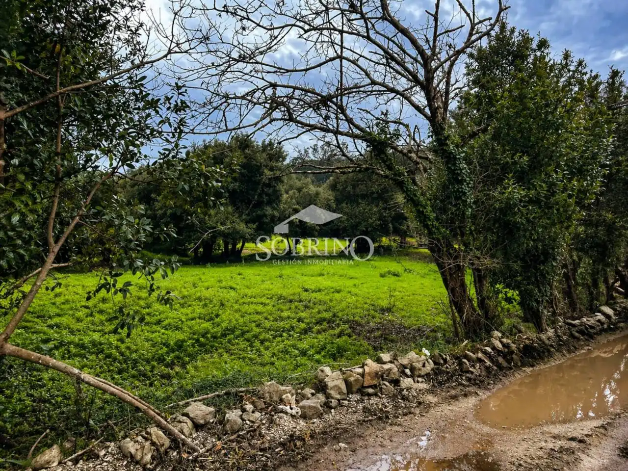 Residencial en venta en Llanes