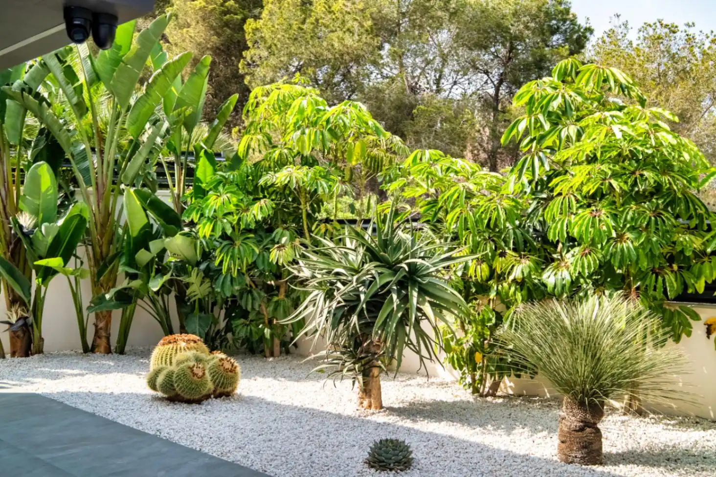 Jardí de Casa o xalet en venda en Benidorm amb Piscina