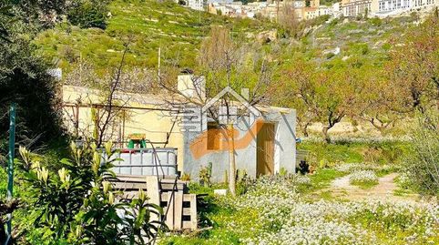 Terreno en venta en VélezBlanco., immagine 2
