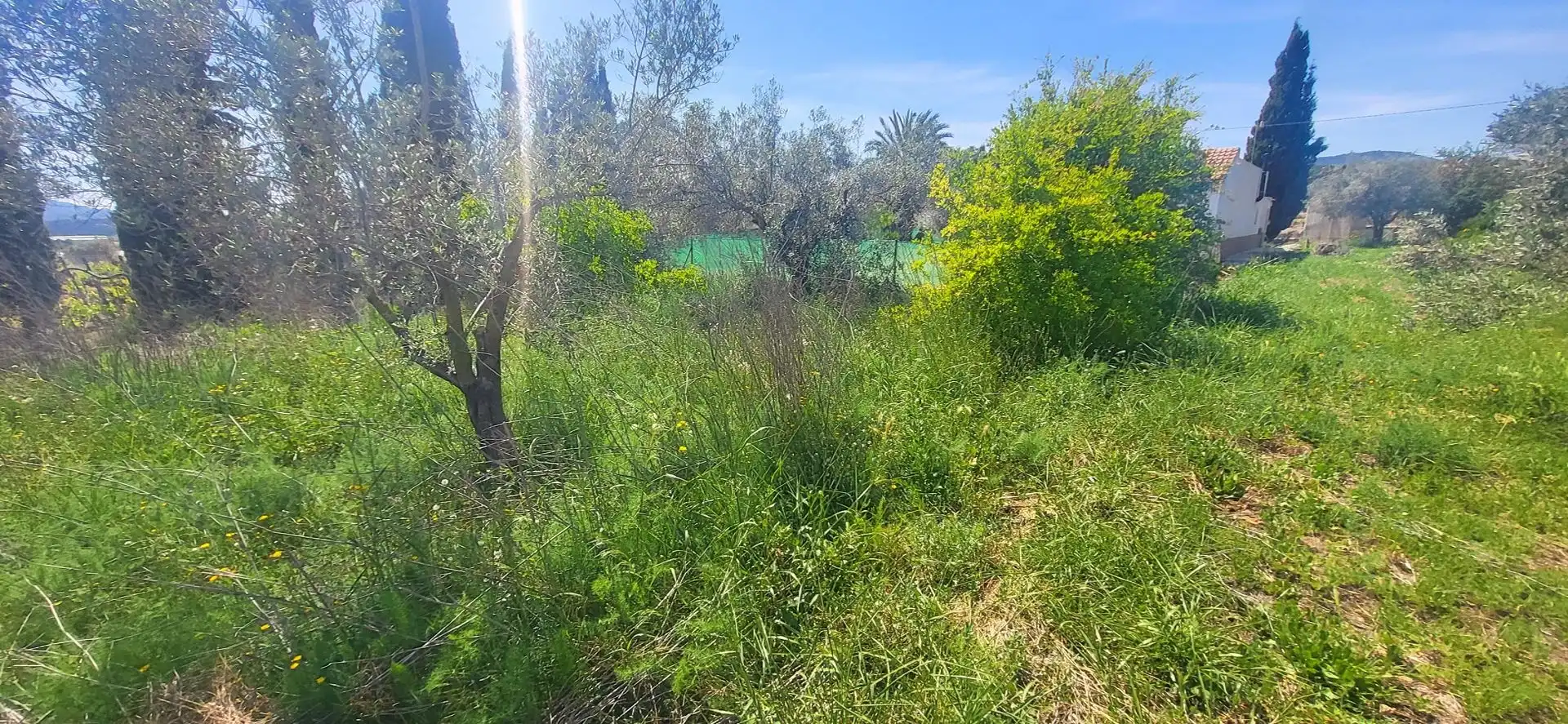 House for sale in La Romana, imagen 36