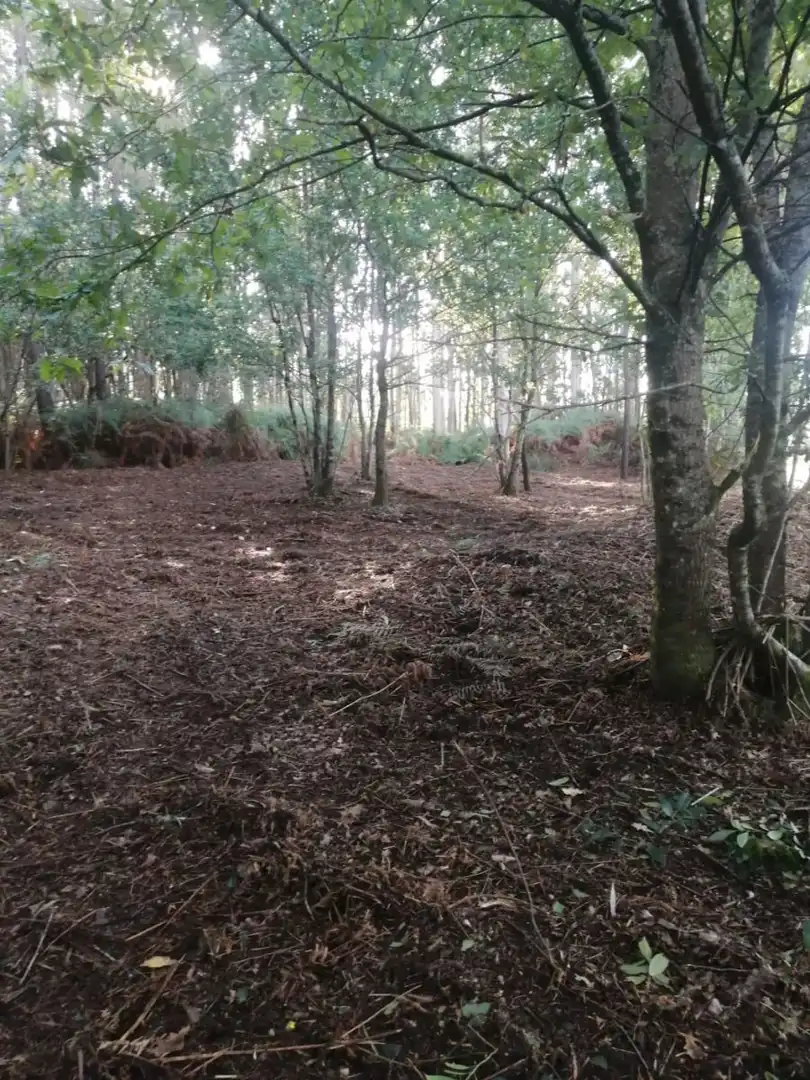 Finca rústica en venta en Ponteareas