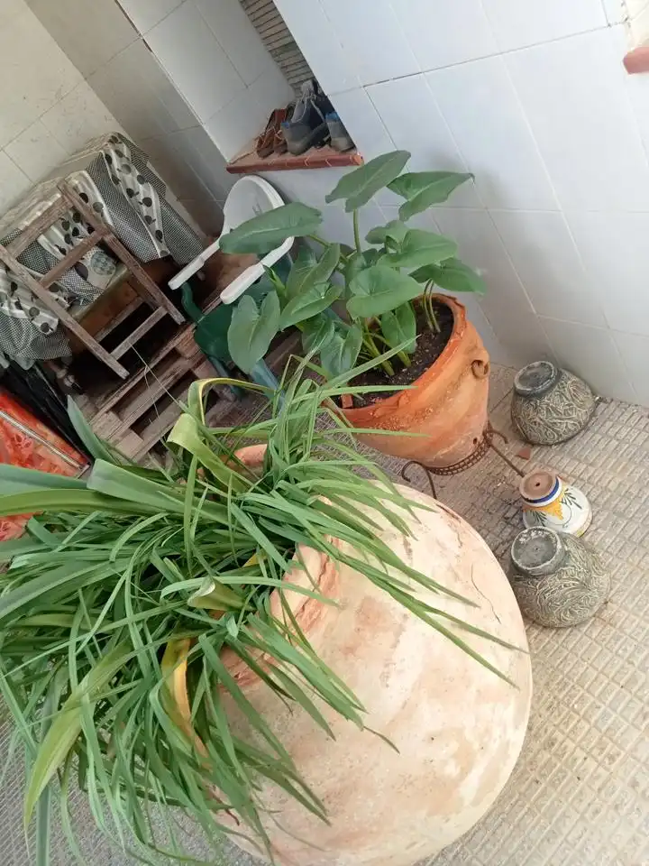 Casa rustica con giardino in vendita a Barrio las Barracas, imagen 6