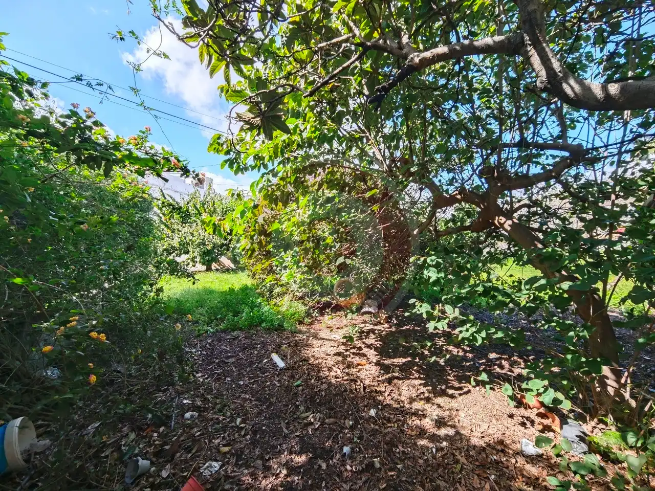 Finca rústica en venta en Vélez-Málaga con Jardín privado y Terraza