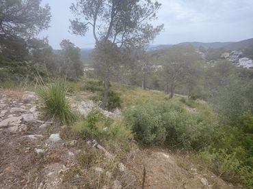 Terreny residencial en venda a Carrer Pau 30