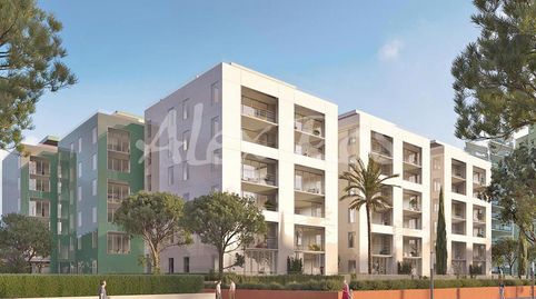 PLANTA BAJA EN PRIMERA LÍNEA DE MAR EN PASEO MARÍTIMO DE PLATJA DARO, imatge 5