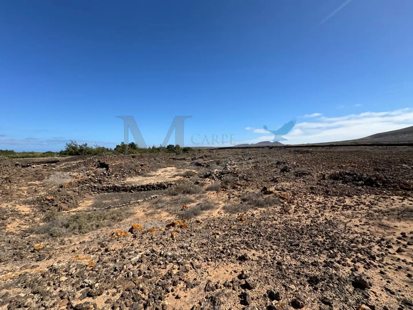 Land for sale in La Oliva