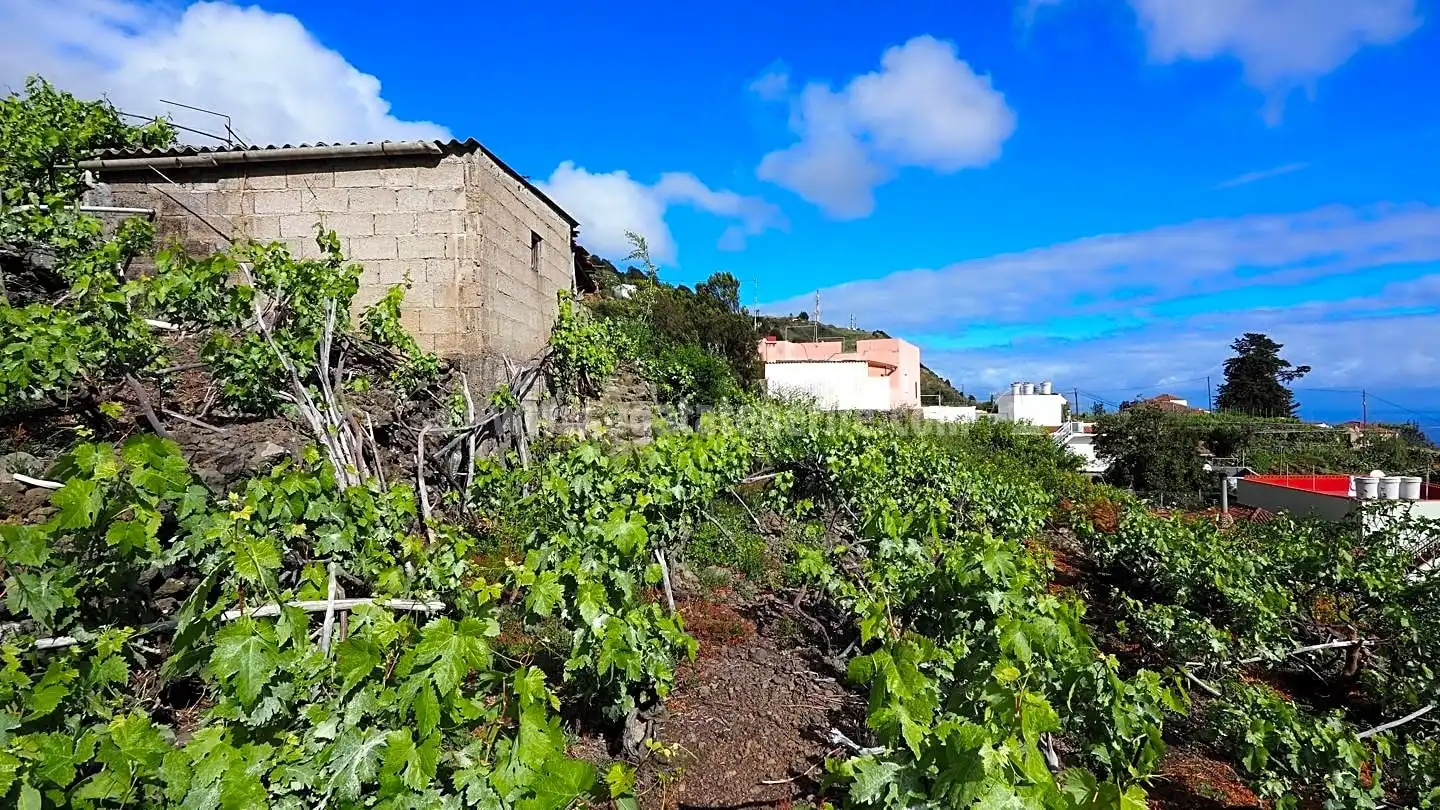 Lands and plots for sale in La Vega - El Amparo - Cueva del Viento, imagen 3