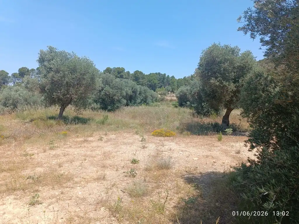 Rural land for sale in N/A, imagen 5