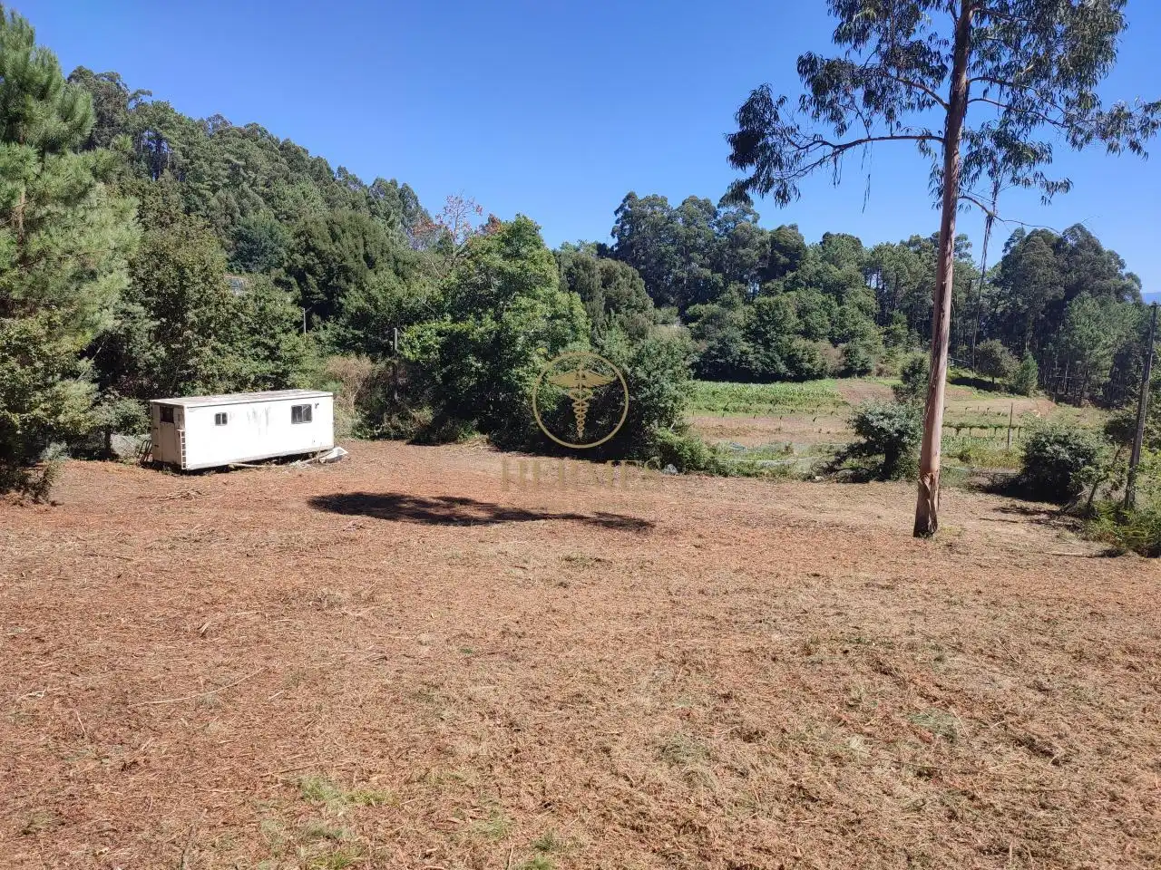 Terreno rustico in vendita a Tui, imagen 5