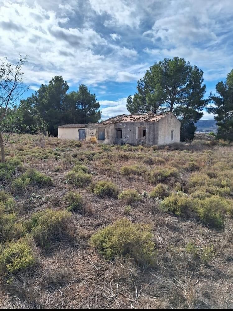 Land for sale in Villena