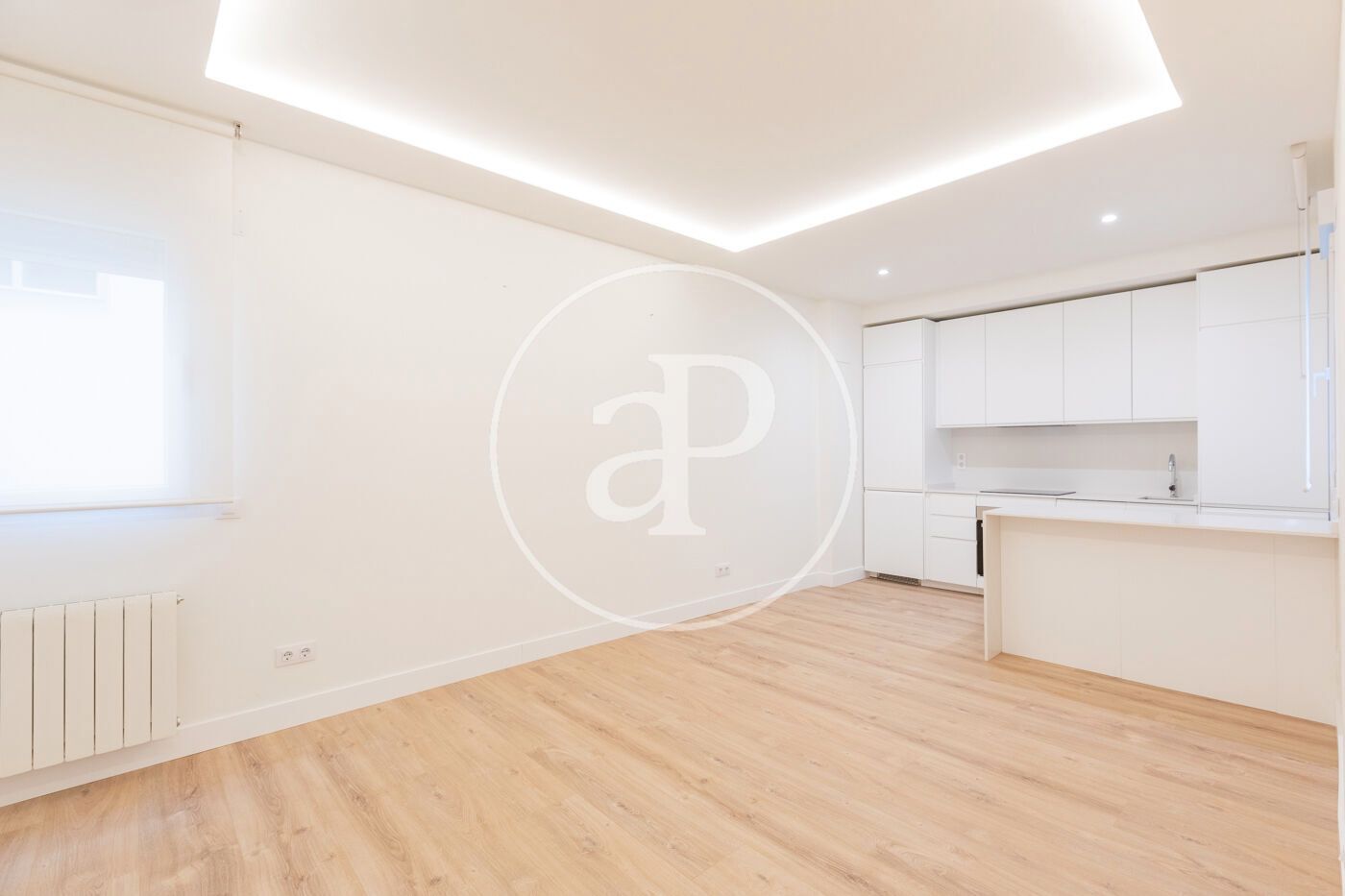 Sala d'estar de Pis de lloguer en  Madrid Capital amb Aire condicionat i Calefacció