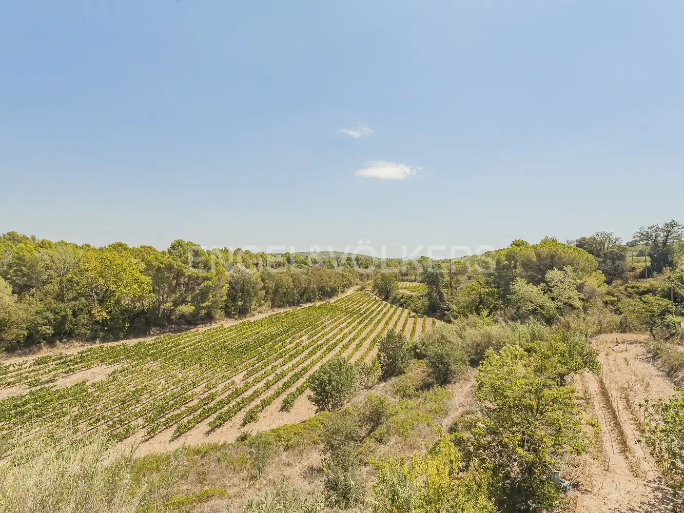Maison avec terrasse à vendre à Sant Martí Sarroca, imagen 5