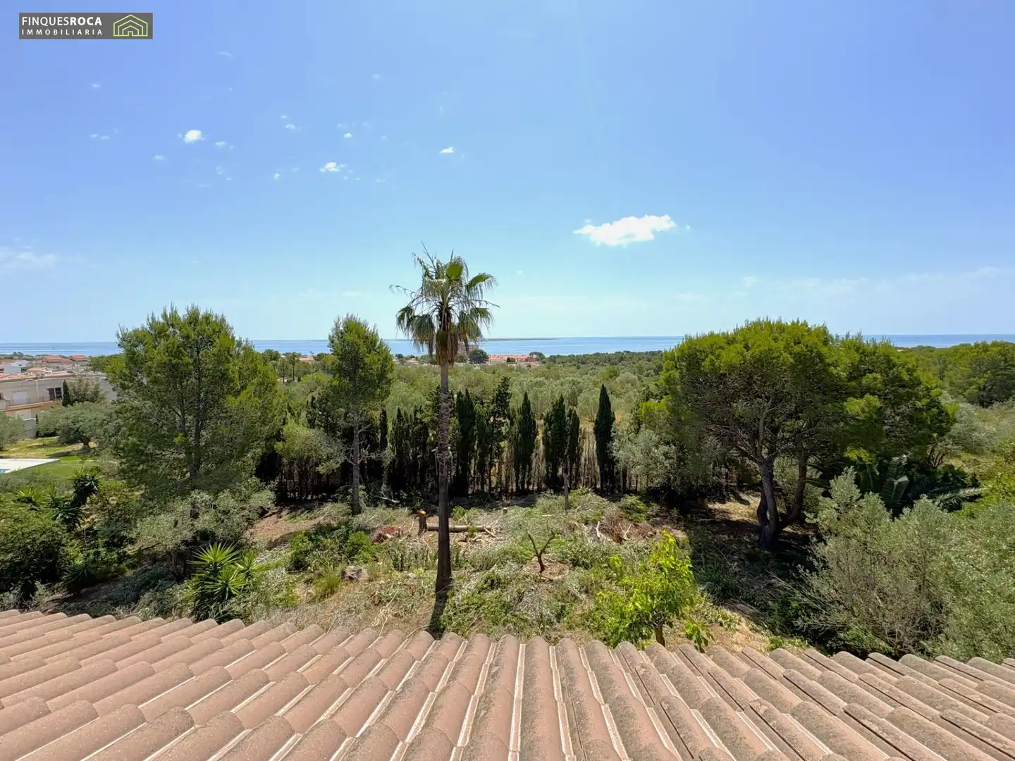 Jardí de Casa o xalet en venda en Alcanar amb Aire condicionat, Calefacció i Jardí privat