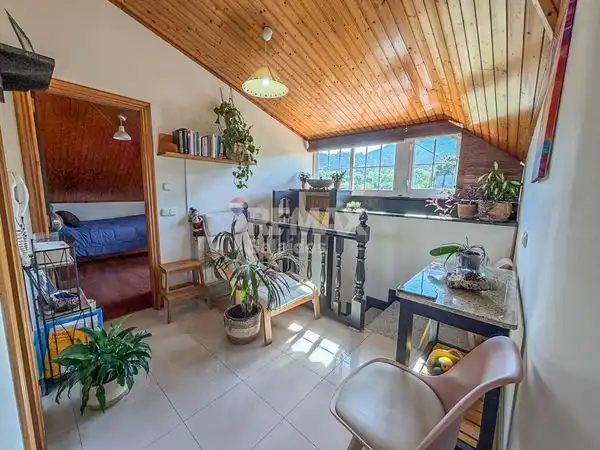 Casa con jardín en venta en Avenida Paseo Portugal, imagen 45