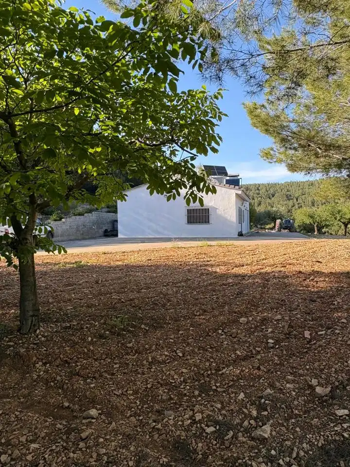 Vista exterior de Finca rústica en venda en Buñol amb Jardí privat, Terrassa i Traster