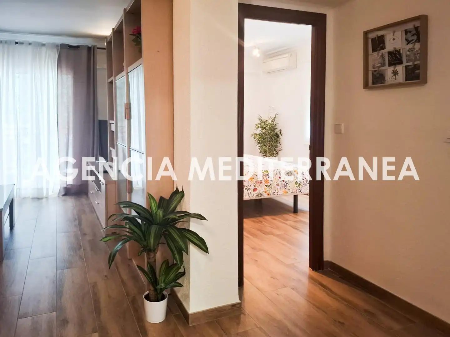 Appartamento con terrazza in vendita a NEPTUNO, imagen 26