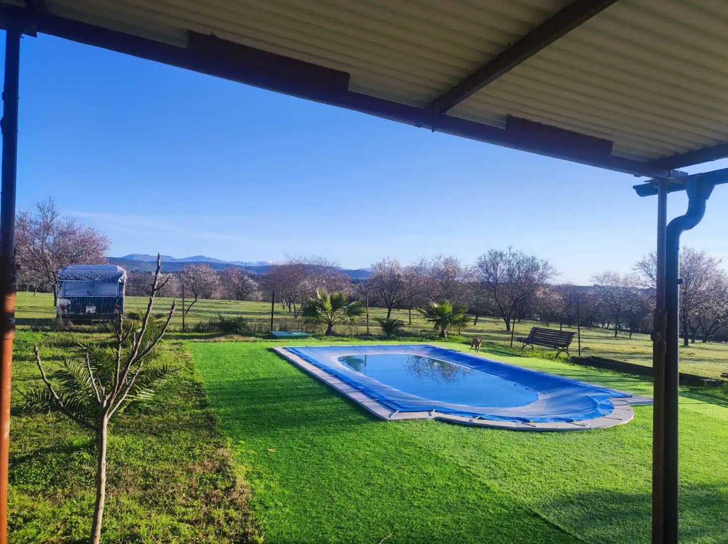 Schwimmbecken von Grundstücke zum Verkauf in Malpartida de Plasencia
