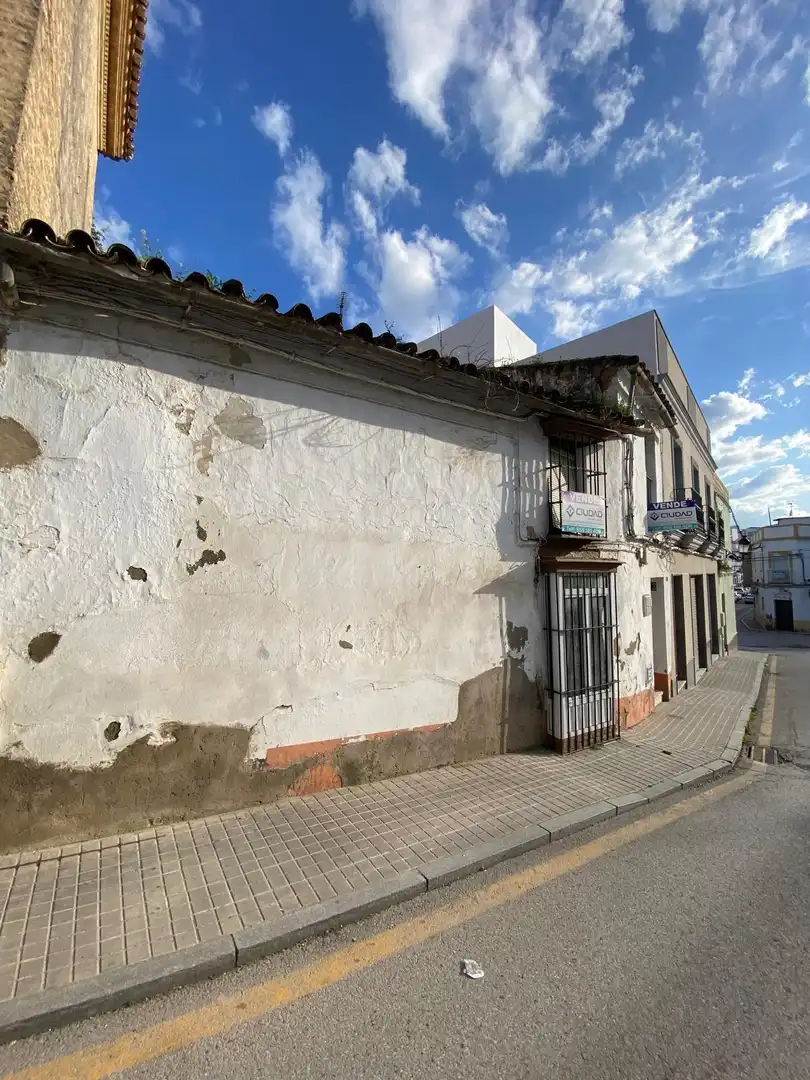 Exterior view of Houses for sale in Morón de la Frontera