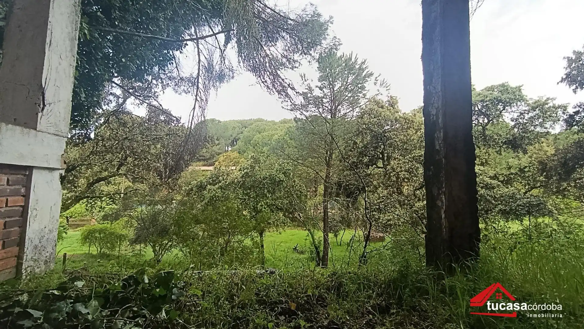 Houses for sale in Las Jaras