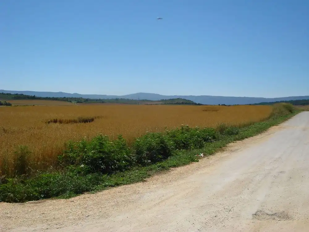 Wohnbaugrundstück zum Verkauf in San Millán / Donemiliaga, imagen 4