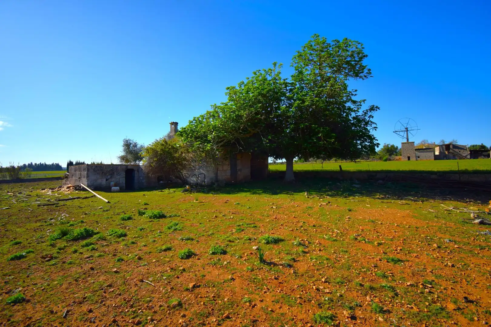 Casa rústica con piscina en venta en Muro, imagen 4