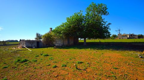 Foto 4 de Finca rústica en venta en Muro, Illes Balears