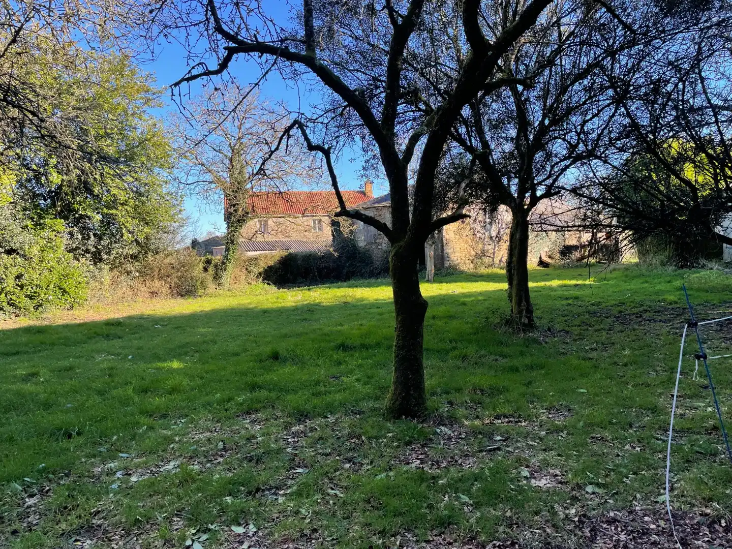 Casa o xalet en venda a Aranga
