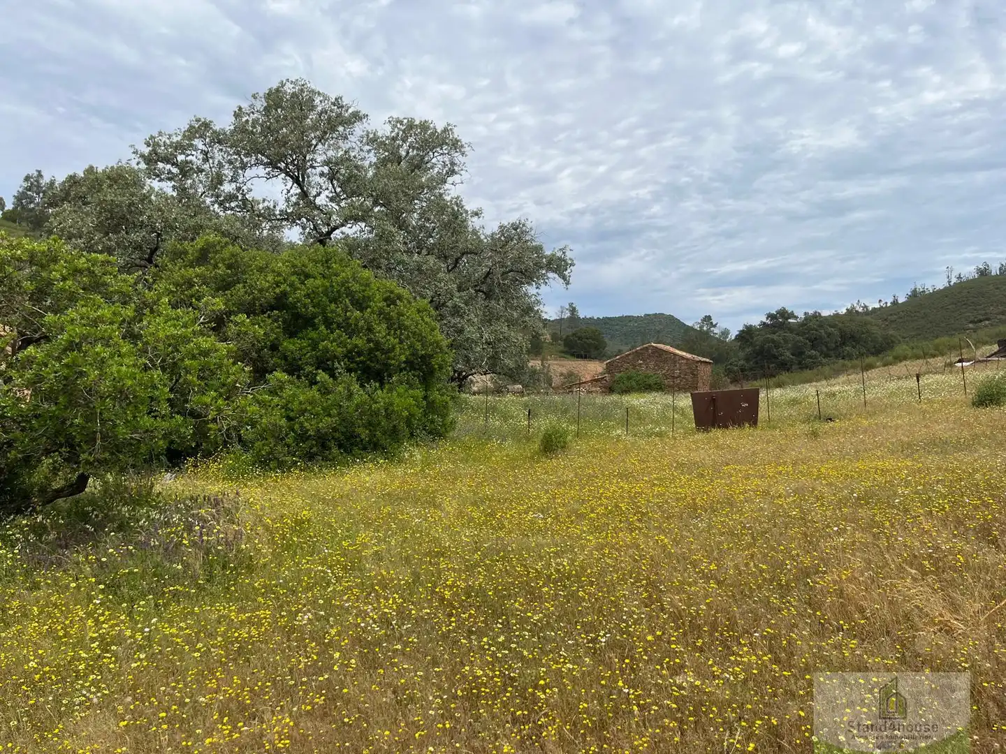 Finca rústica en venta en Berrocal