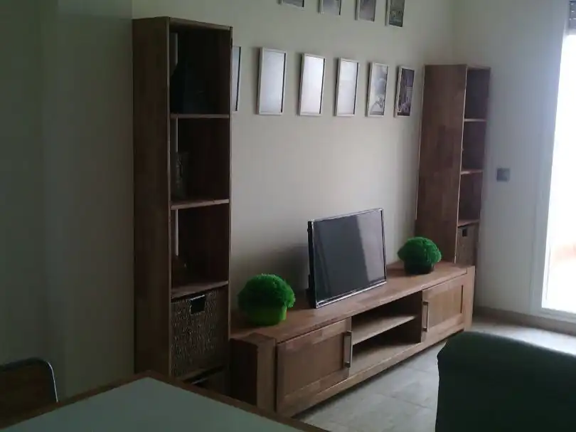 Living room of Flat for rent in El Toyo