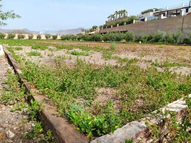 Terreno residencial en venta en Casco Antiguo, imagen 10