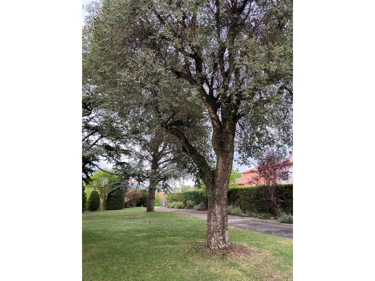 Jardí de Casa o xalet en venda en Torelló amb Calefacció, Jardí privat i Terrassa