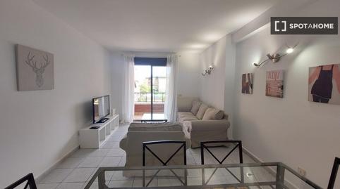 Photo 3 of Study to share in Centro, Madrid