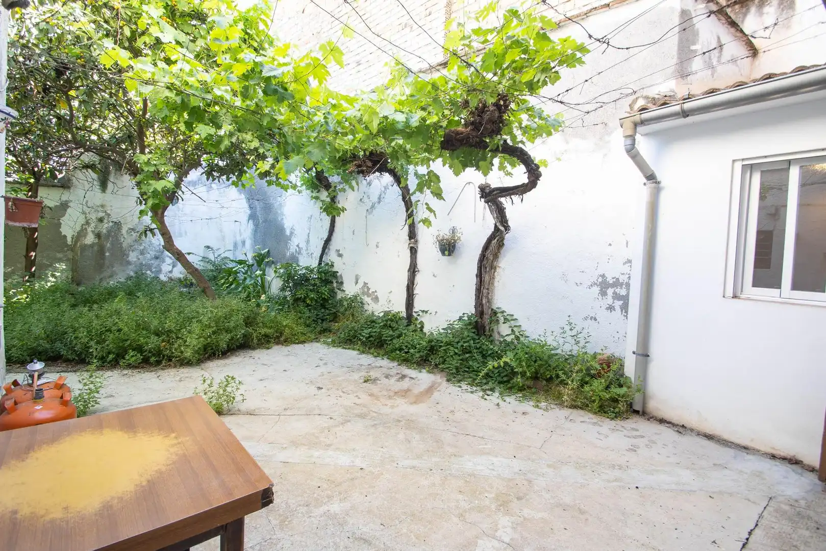 Casa a schiera con giardino in vendita a PILAR ALTO, imagen 9