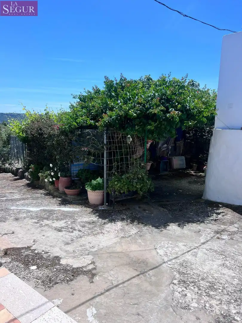 Jardí de Casa o xalet en venda en Vejer de la Frontera amb Jardí privat