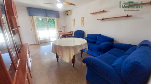 Photo 2 of Study to rent in Calle Andrés Segovia, Barrio de Zaidín,  Granada Capital