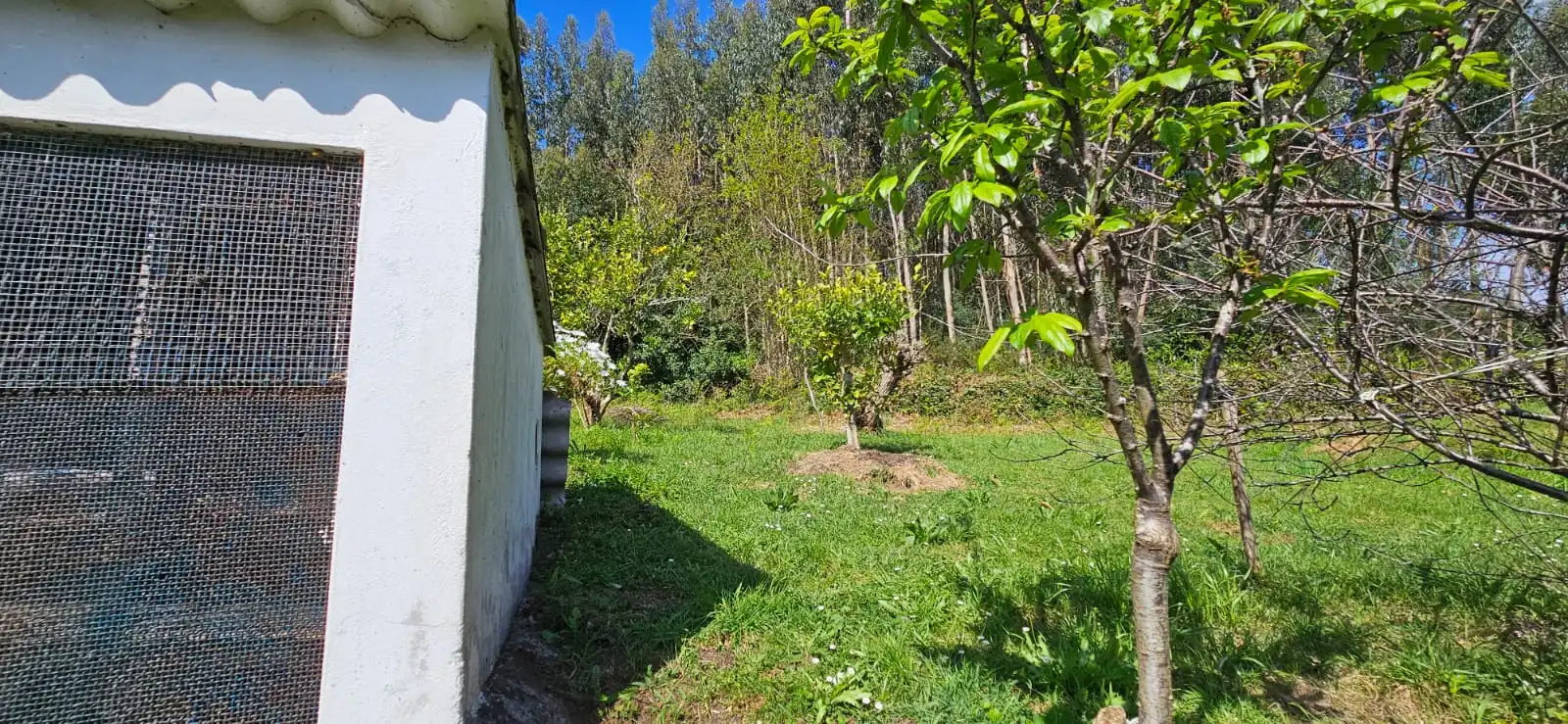 Jardí de Casa o xalet en venda en Narón amb Moblat