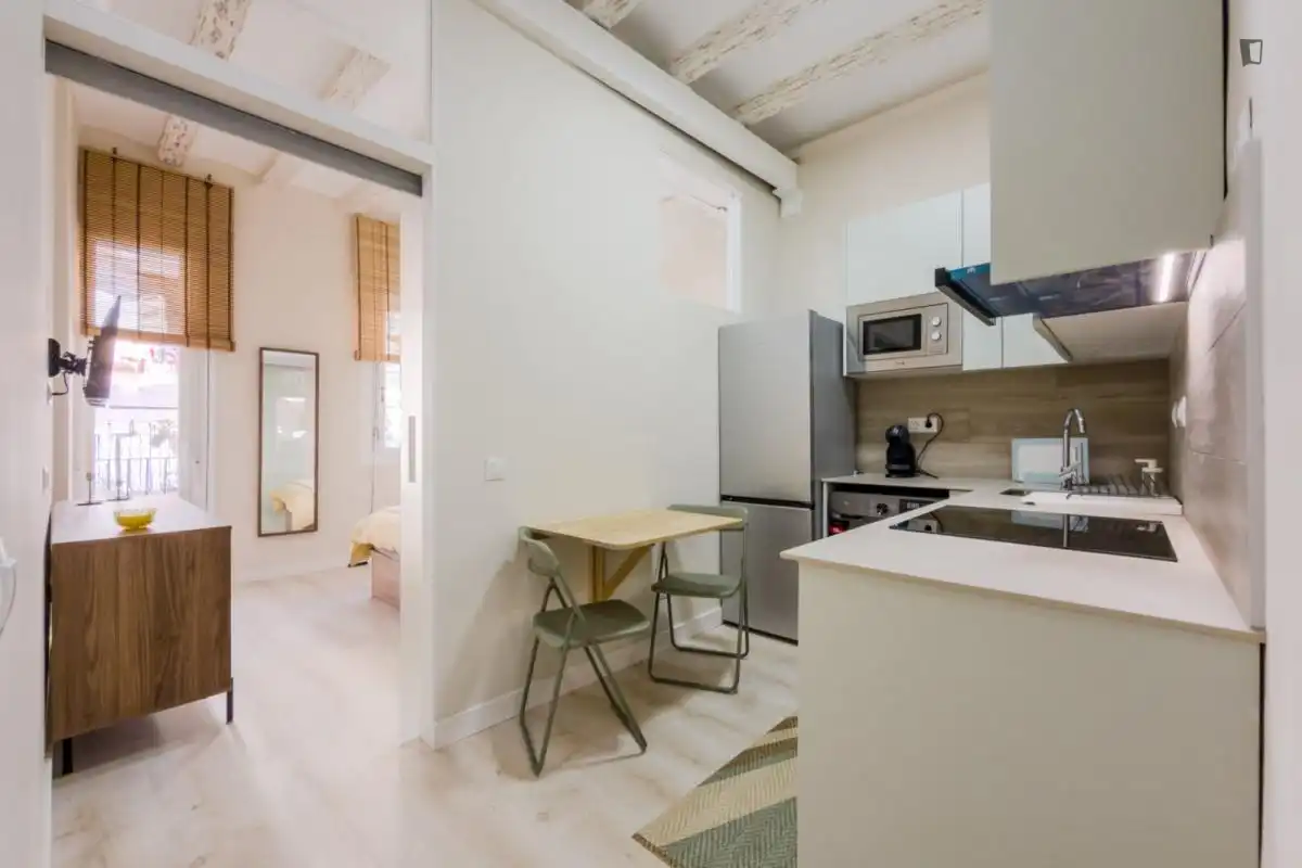Apartments for rent in El Raval