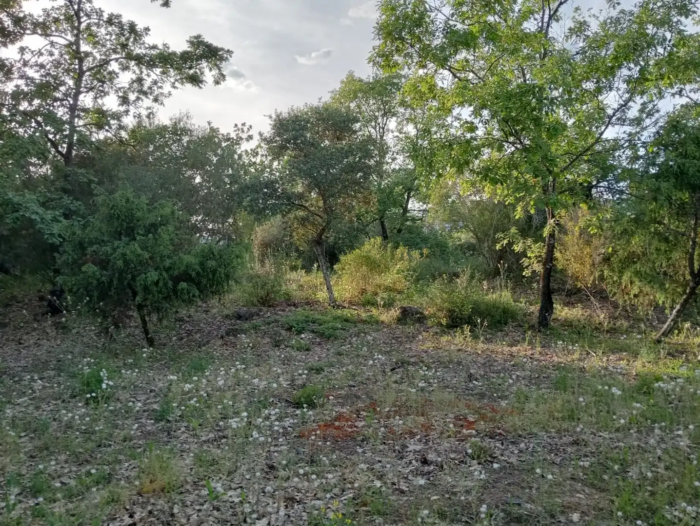 Terreno en venta en Villanueva de la Vera