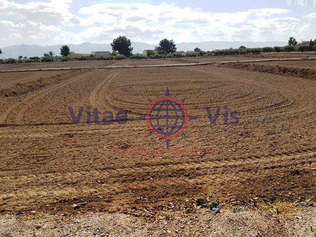 Terreno residencial en Venta en Camino De Enmedio (Tercia La), -1 en Tercia