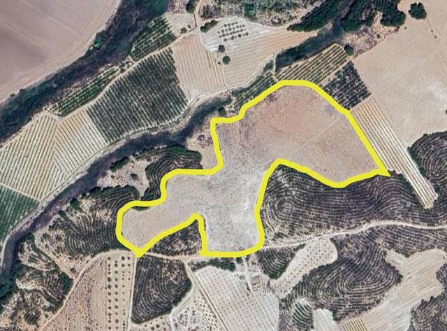 Terreno en Venta en Cieza