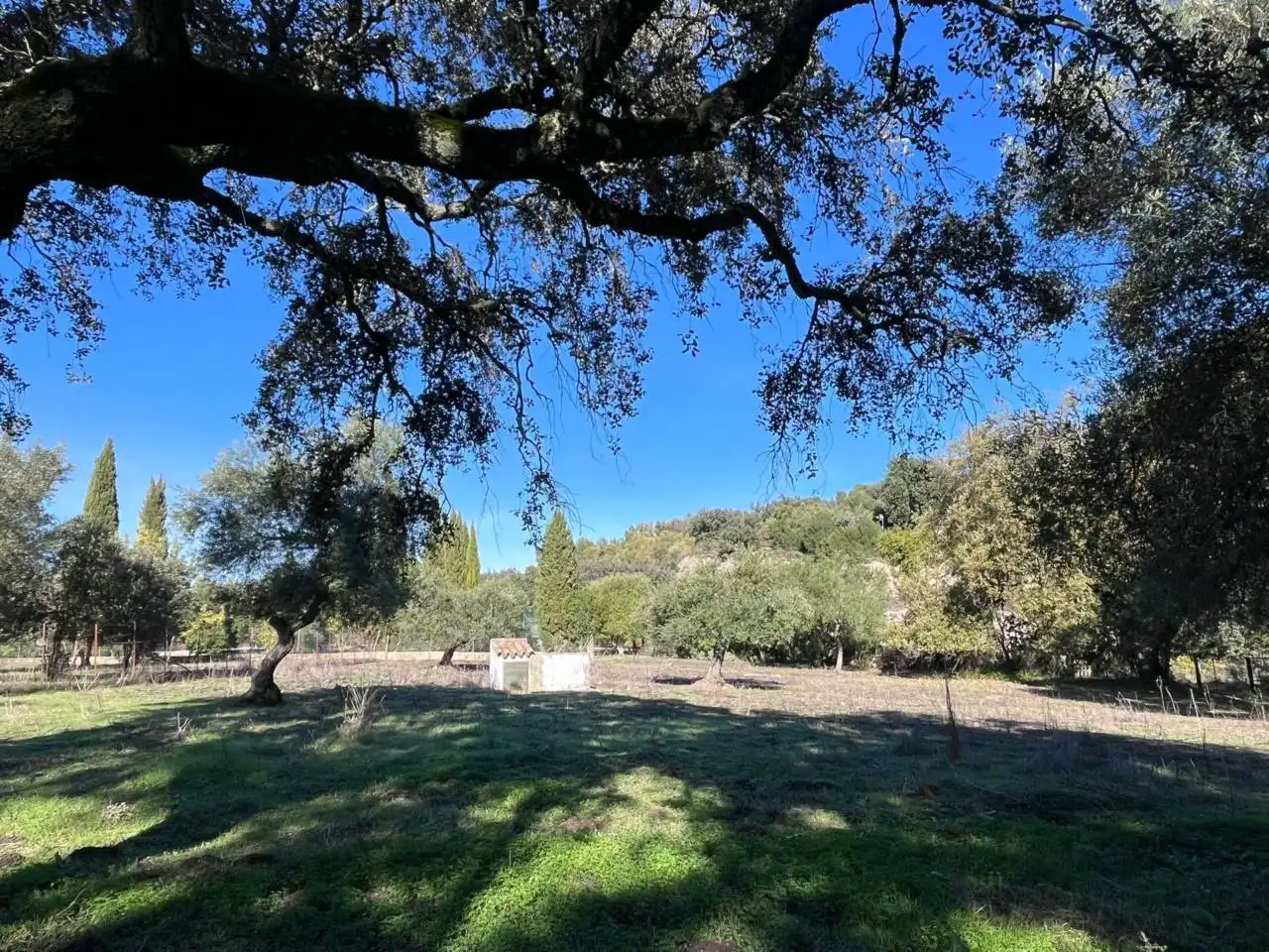 Terreno rustico in vendita a El Bosque, imagen 3