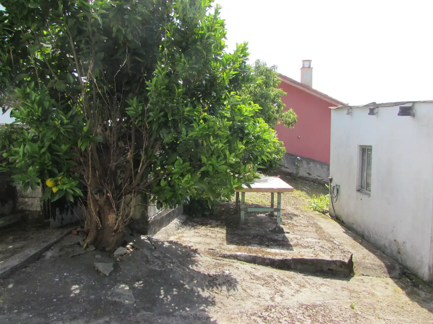 Jardí de Casa o xalet en venda en Ferrol amb Calefacció i Jardí privat