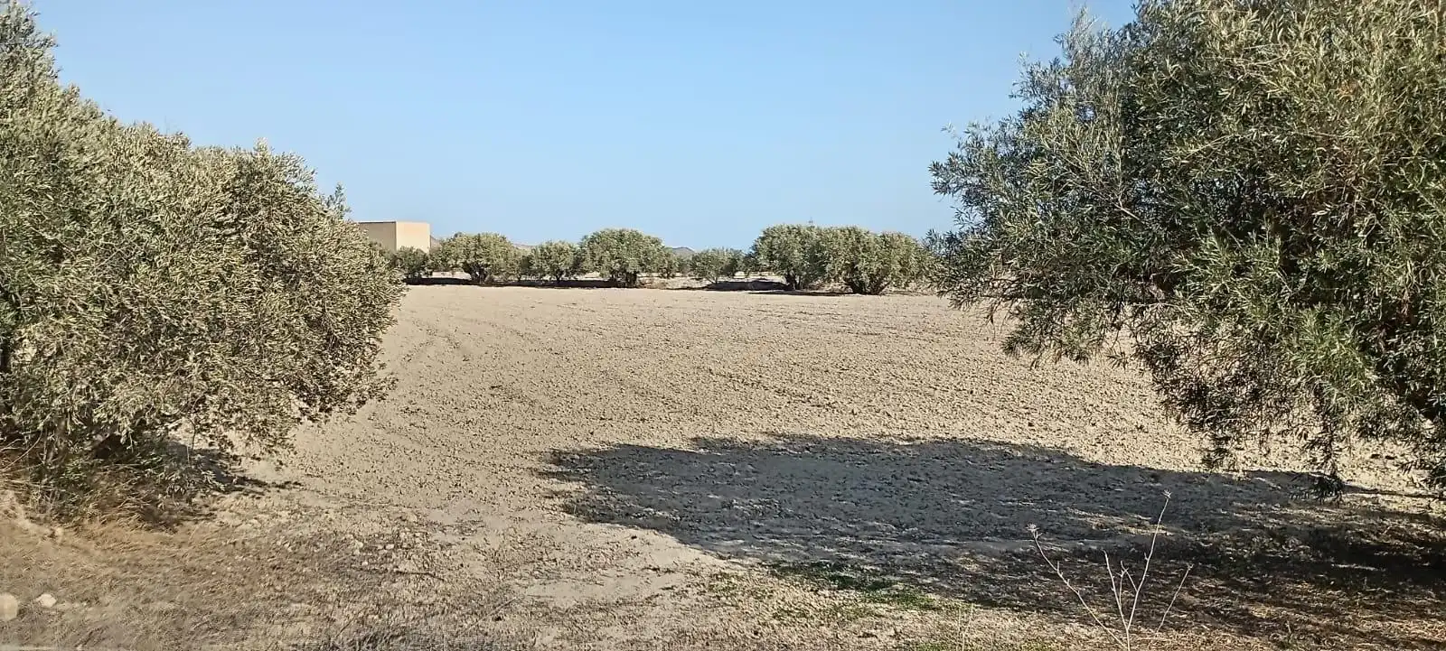 Maison avec jardin à vendre à Mojácar Pueblo, imagen 35