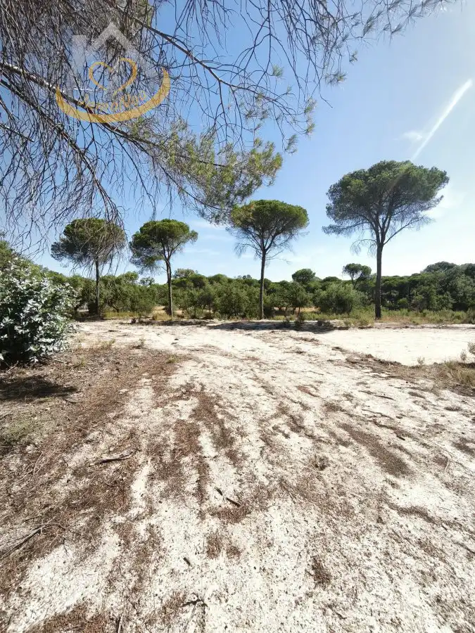 Terreni e lotti in vendita a Moguer, imagen 4