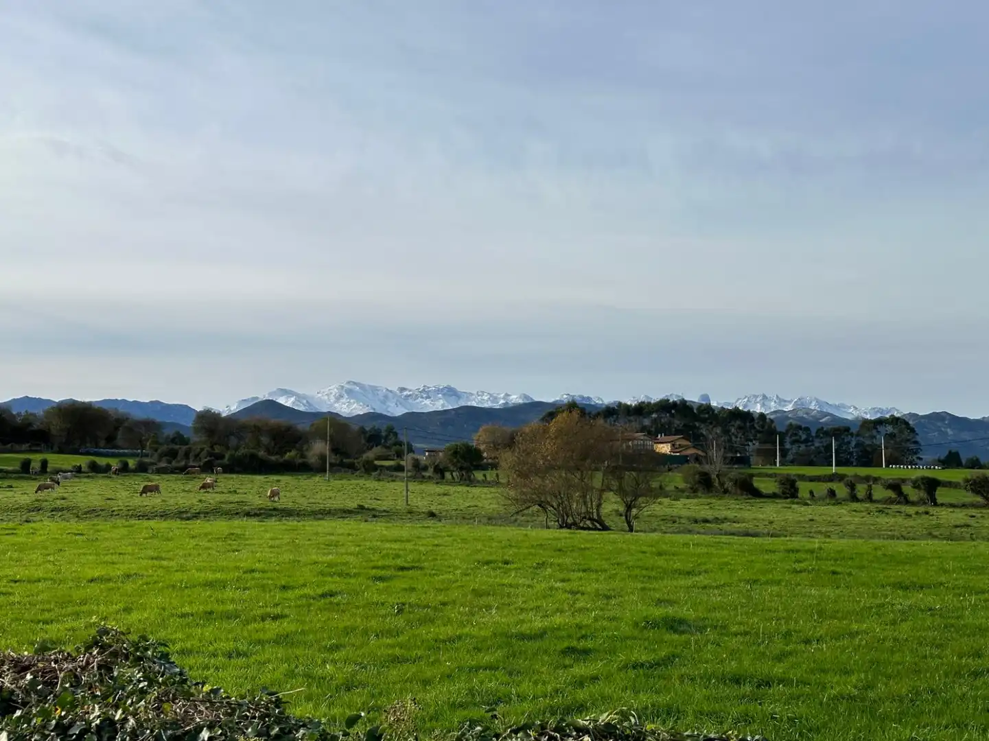 Residencial en venta en Ribadedeva - Pimiango, Ribadedeva